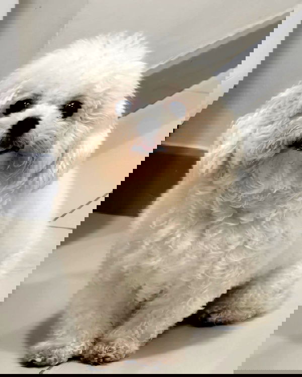 iamdorasnow iamdorasnow archive image