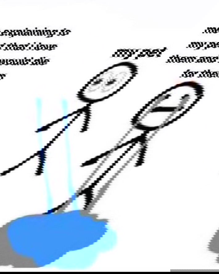 iamm3dusa instagram image archive image