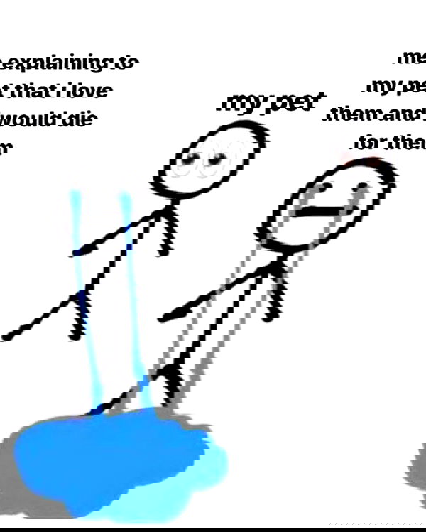 iamm3dusa image ~ Altpins