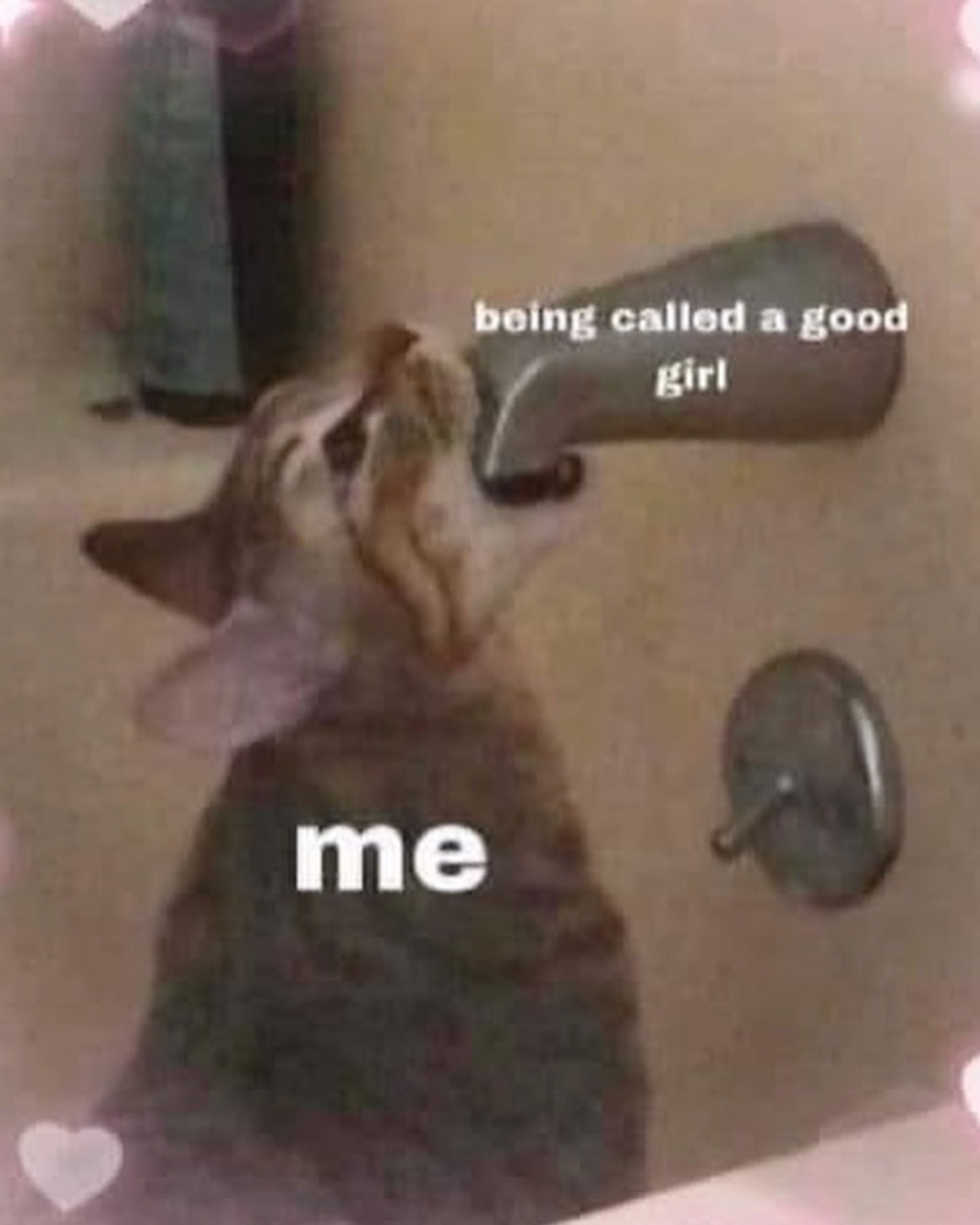 iamm3dusa instagram image archive image