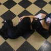 iblowurmind Altpins Profile Picture