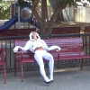 iblowurmind Altpins Profile Picture