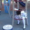 iblowurmind Altpins Profile Picture