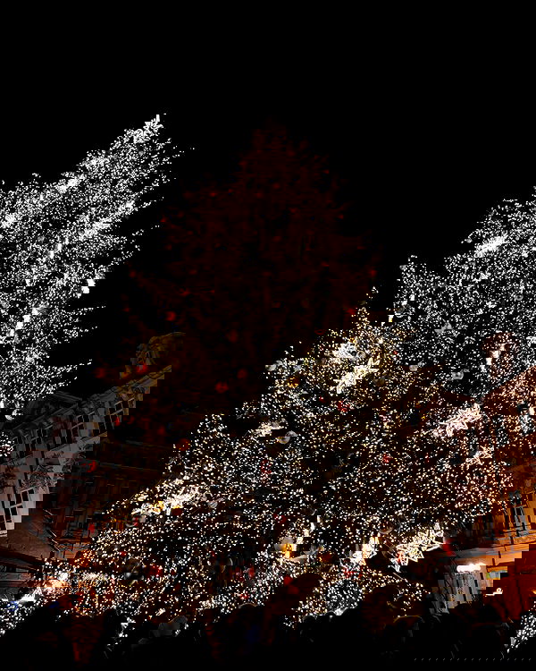 ida.trbl ida.trbl archive image