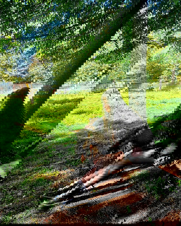 ida.trbl ida.trbl archive image