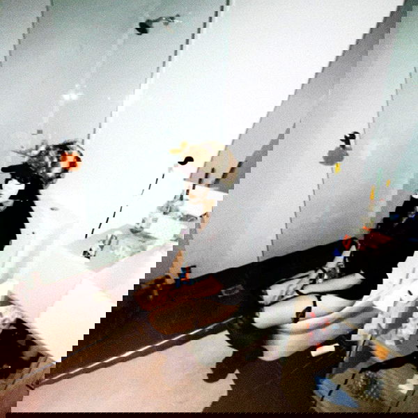 iheartpidge iheartpidge archive image