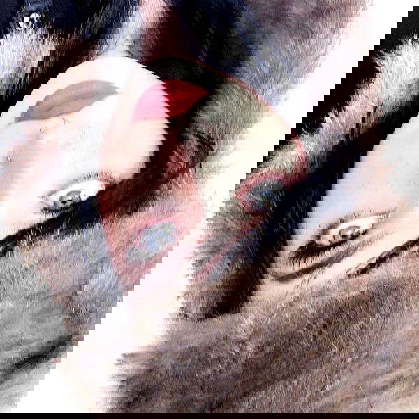 iheartpidge iheartpidge archive image