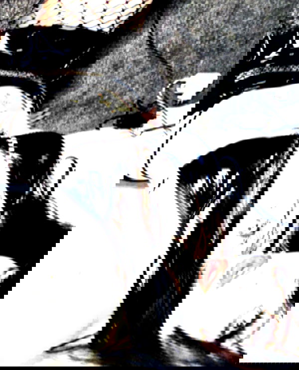 iheartpidge iheartpidge archive image