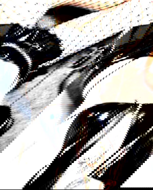 iheartpidge iheartpidge archive image