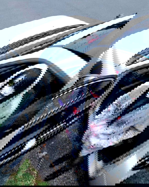 iheartpidge iheartpidge archive image