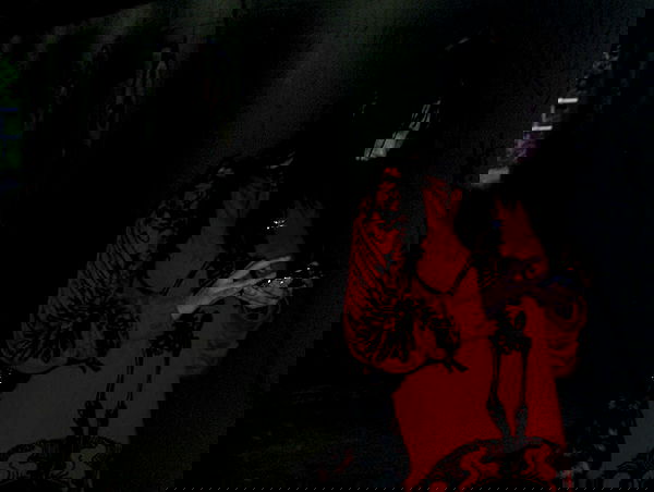 iheartpidge iheartpidge archive image