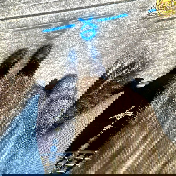 iheartpidge iheartpidge archive image