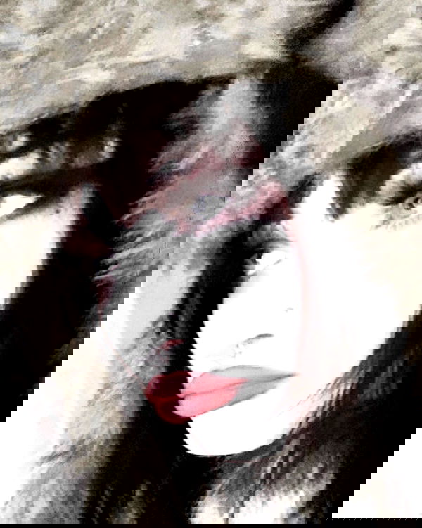 iheartpidge iheartpidge archive image