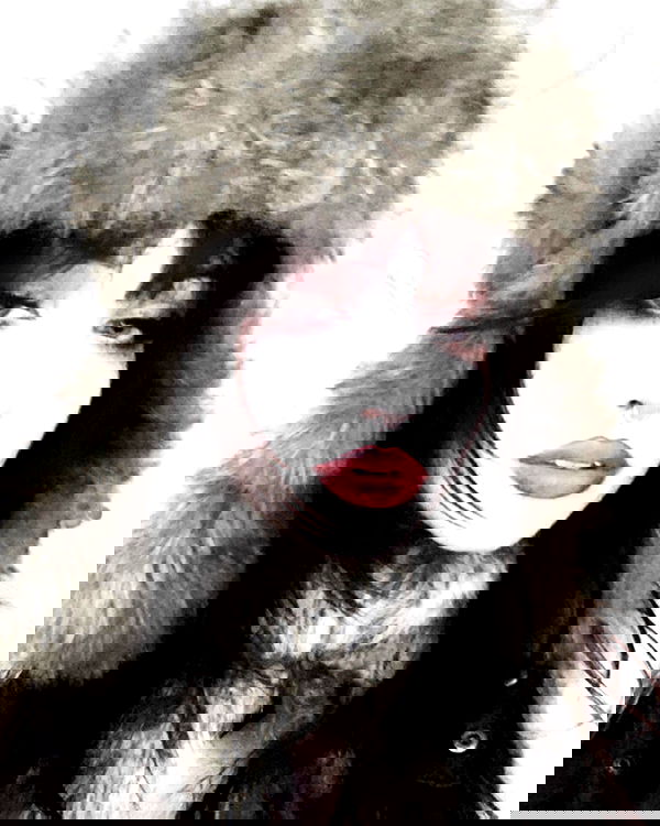 iheartpidge iheartpidge archive image