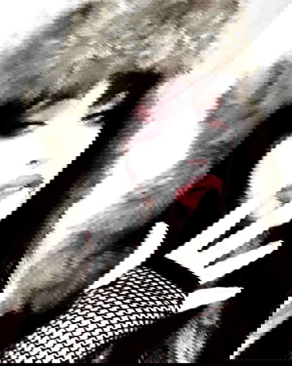 iheartpidge iheartpidge archive image