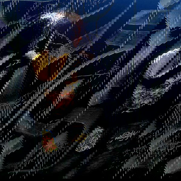 iheartpidge iheartpidge archive image