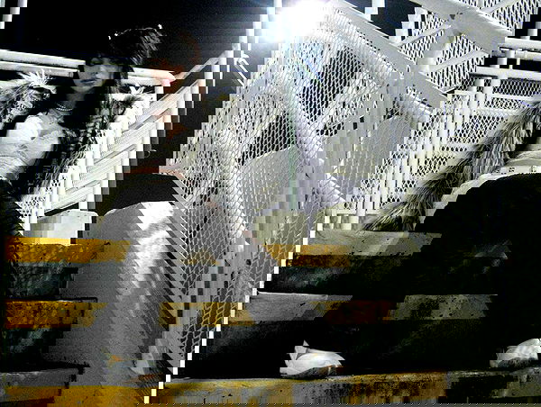 iheartpidge iheartpidge archive image