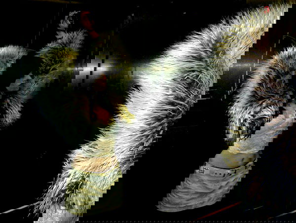 iheartpidge iheartpidge archive image