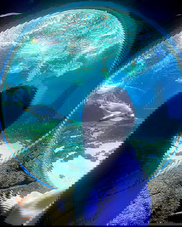 iheartpidge iheartpidge archive image