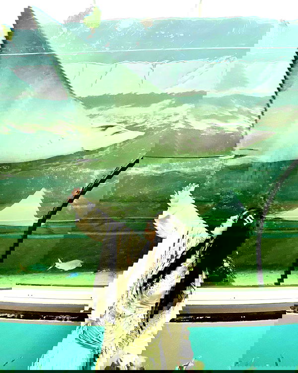 iheartpidge iheartpidge archive image