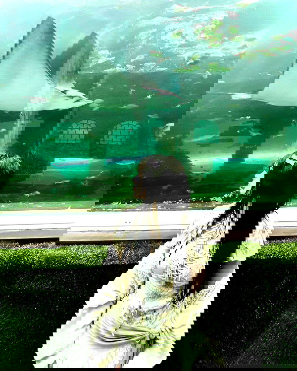 iheartpidge iheartpidge archive image