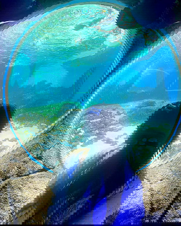 iheartpidge iheartpidge archive image