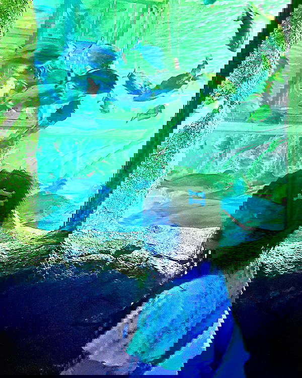 iheartpidge iheartpidge archive image