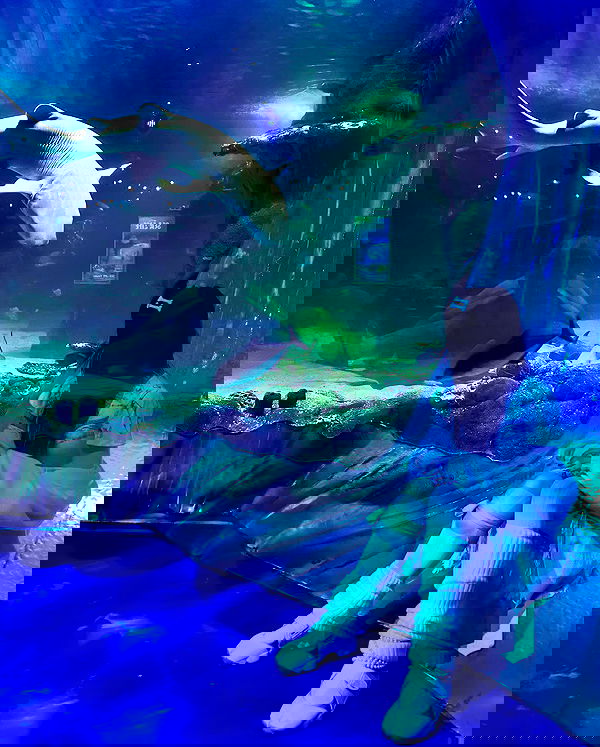 iheartpidge iheartpidge archive image