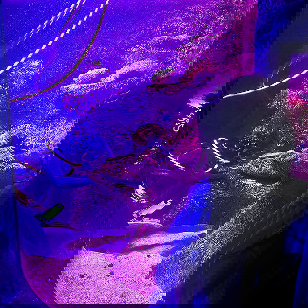 iheartpidge iheartpidge archive image