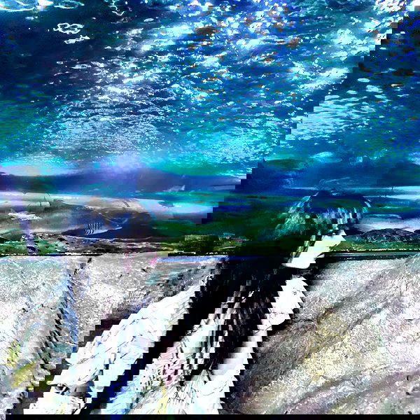 iheartpidge iheartpidge archive image