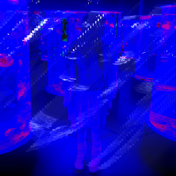 iheartpidge iheartpidge archive image