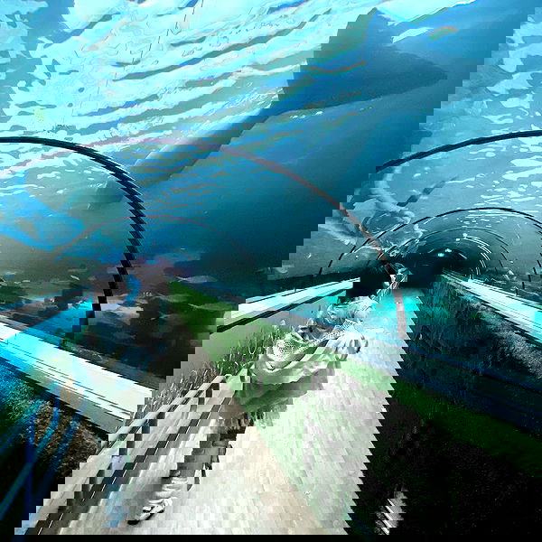 iheartpidge iheartpidge archive image