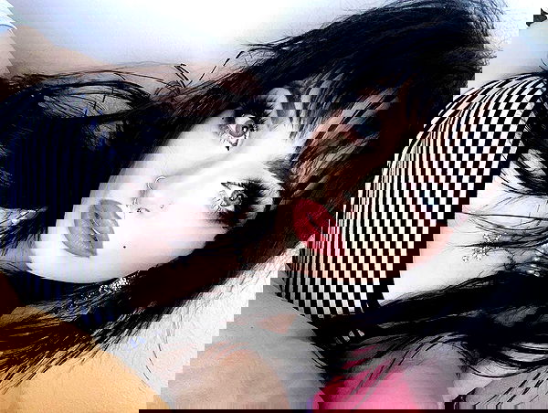 iheartpidge iheartpidge archive image