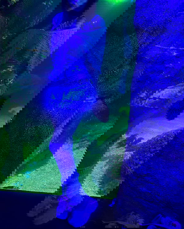 iheartpidge iheartpidge archive image