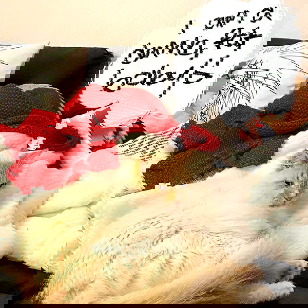 iheartpidge iheartpidge archive image