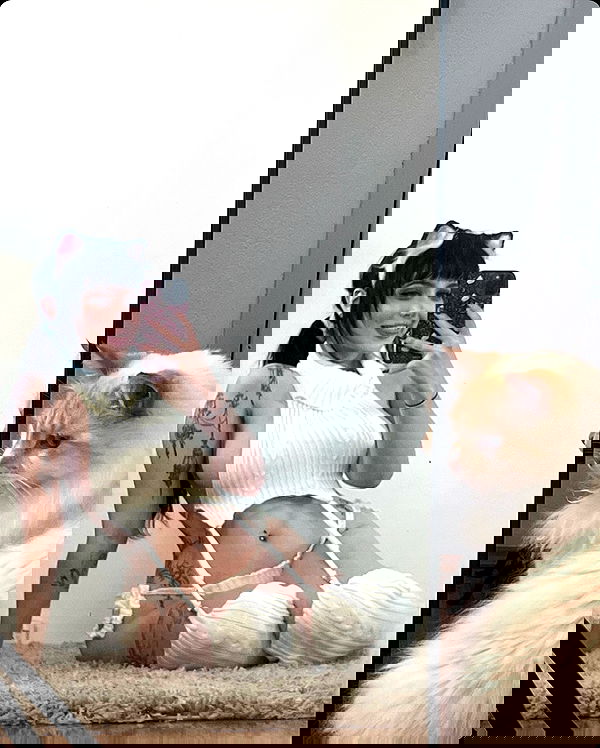 iheartpidge iheartpidge archive image