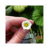 ilana.21 Altpins Profile Picture