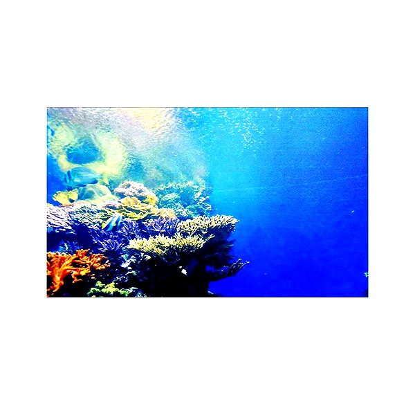 ilana.21 instagram image archive image