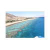 ilana.21 Altpins Profile Picture