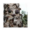 ilana.21 Altpins Profile Picture