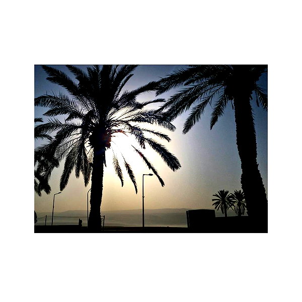 ilana.21 instagram image archive image