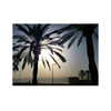 ilana.21 Altpins Profile Picture