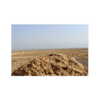 ilana.21 Altpins Profile Picture