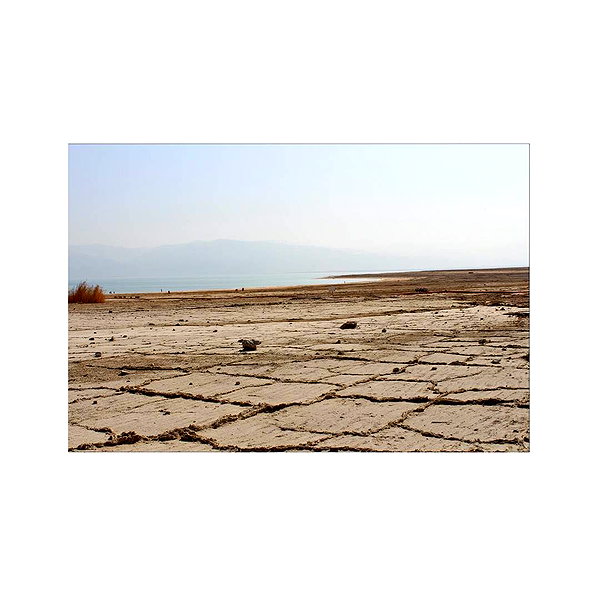 ilana.21 instagram image archive image
