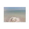 ilana.21 Altpins Profile Picture