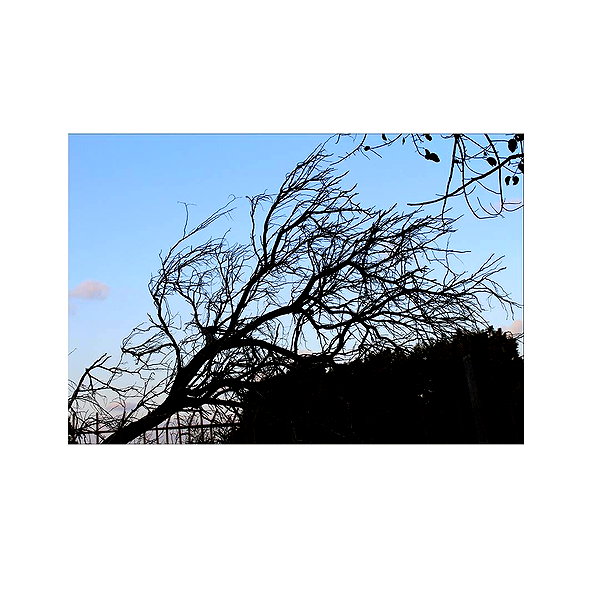 ilana.21 instagram image archive image