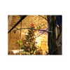 ilana.21 Altpins Profile Picture