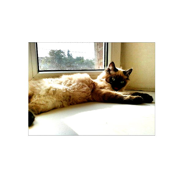 ilana.21 instagram image archive image