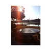 ilana.21 Altpins Profile Picture