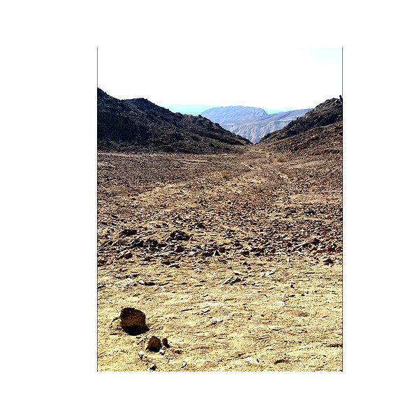 ilana.21 instagram image archive image